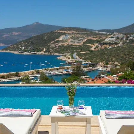 Tekce Dolly N24 Apartment