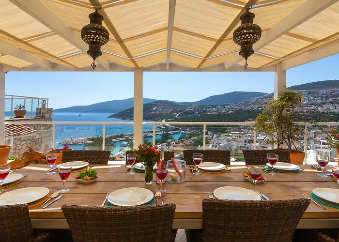 Tekce Dolly N24 Kalkan