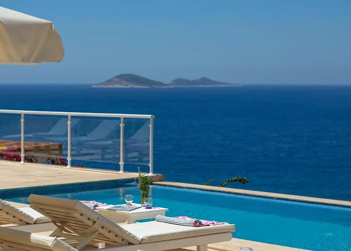 Tekce Dolly N24 Kalkan