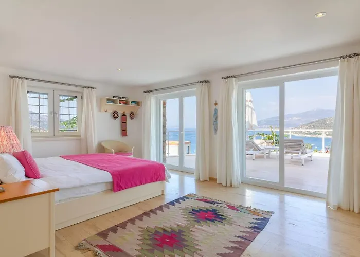 Tekce Dolly N24 * Kalkan